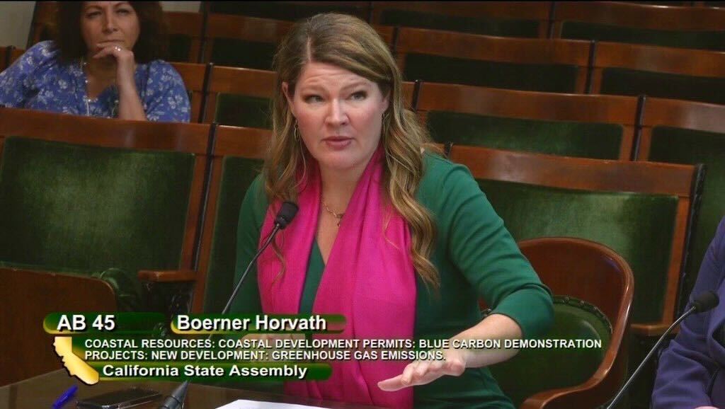 Assemblymember Boerner Horvath Presents AB 45.