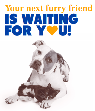 Is waiting for you