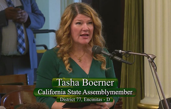 Assemblymember Tasha Boerner speaking at the podium