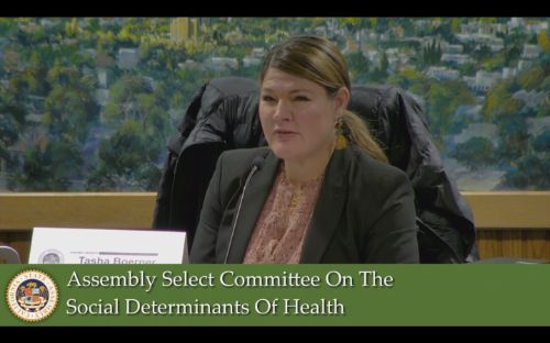 Select Committee on the Social Determinants of Health