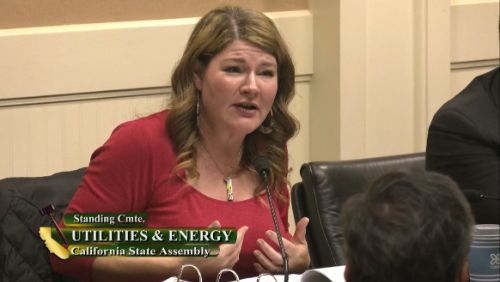utilities and energy committee hearing