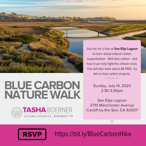 ad77 Blue Carbon Nature Walk