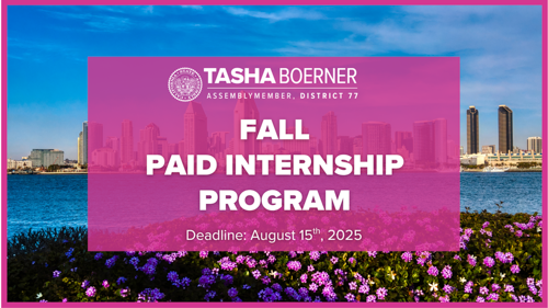 ad77 Boerner paid internship