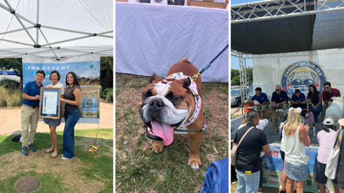 ad77 Boerner Cardiff Dog Days of Summer
