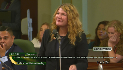 Assemblymember Boerner ab399 governor desk