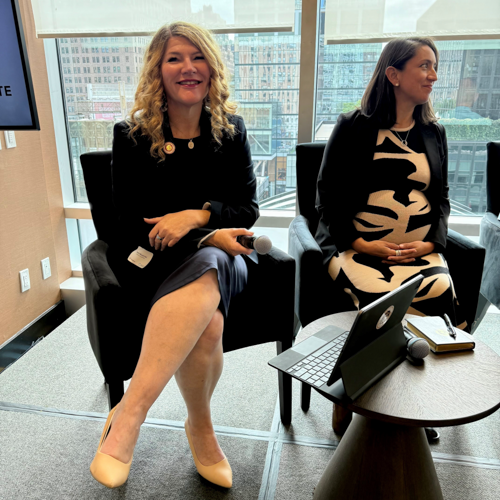 Assemblymember Boerner Chats About Streamlining