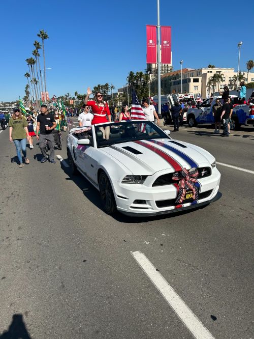 San Diego Veterans Day Parade