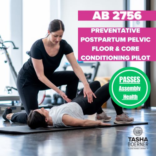 ad77 Pelvic Floor Therapy for Parents