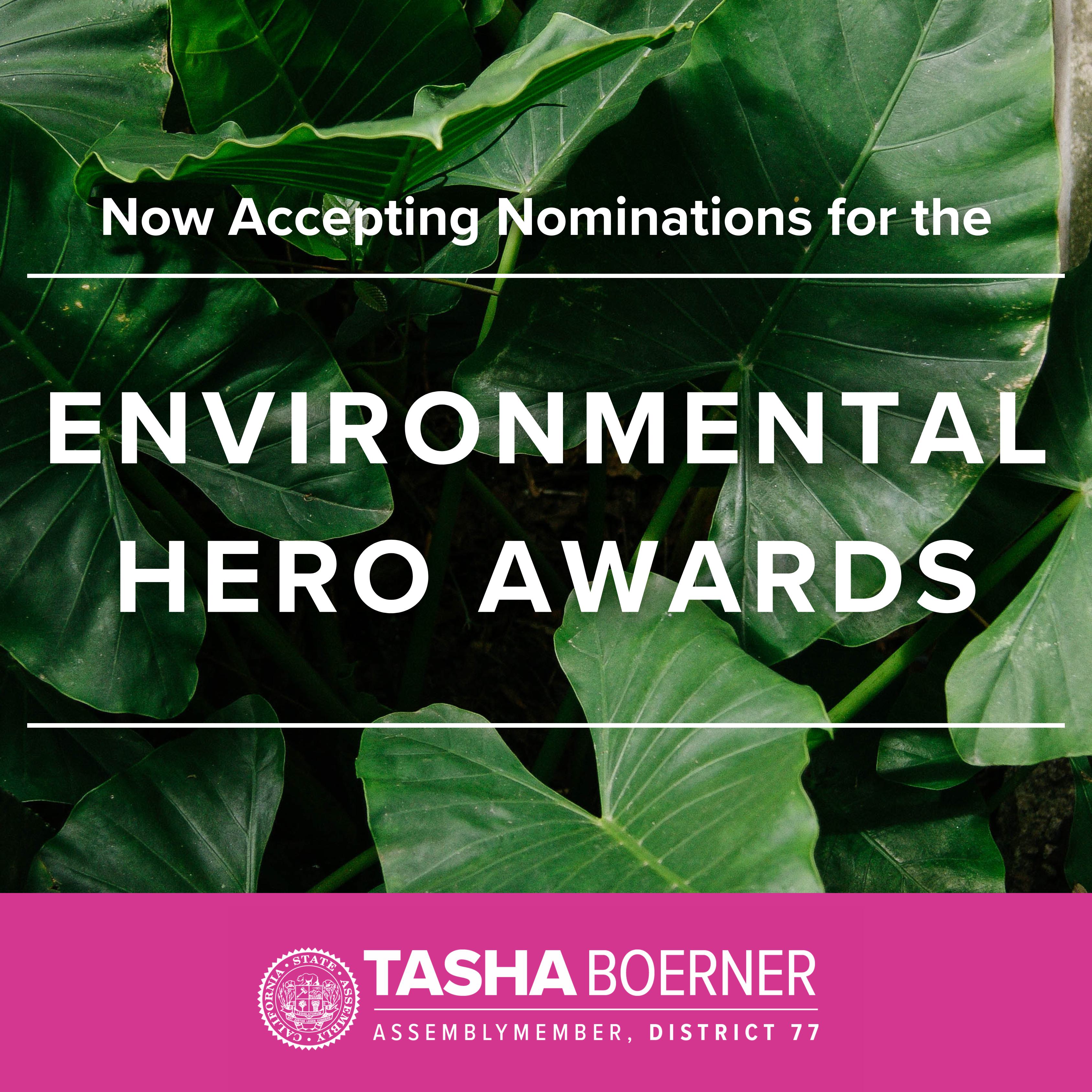 ad77 boerner environmental hero awards