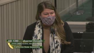 Boerner Horvath's Bill to Improve School Lands Management Passes Key Committee
