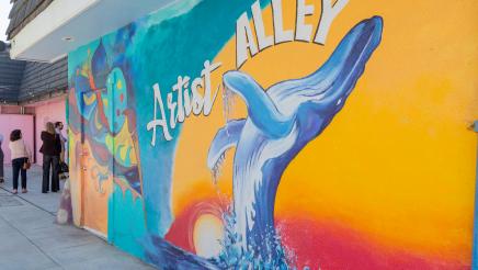 Oceanside Cultural Art District Tour