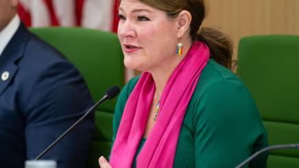 Budget Subcommittee 7 Hearing 