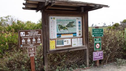 Blue Carbon Nature Walk