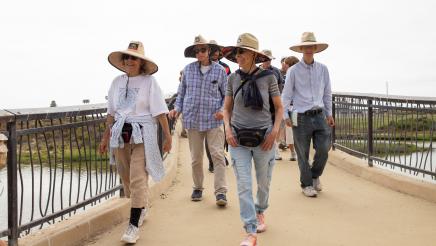 Blue Carbon Nature Walk