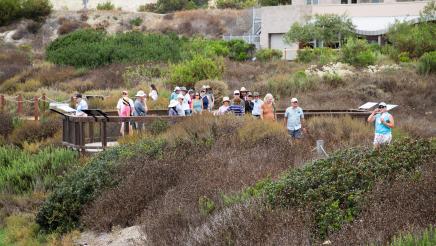 Blue Carbon Nature Walk