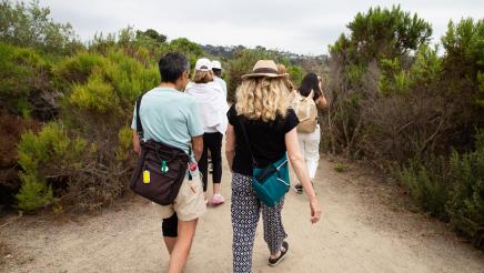 Blue Carbon Nature Walk