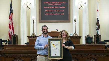 Non-Profit of the Year