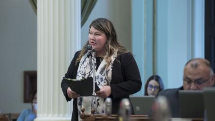 AB 1731 Presentation