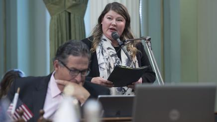 AB 1731 Presentation