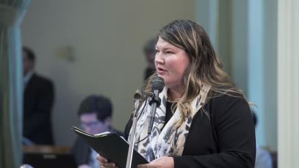 AB 1731 Presentation