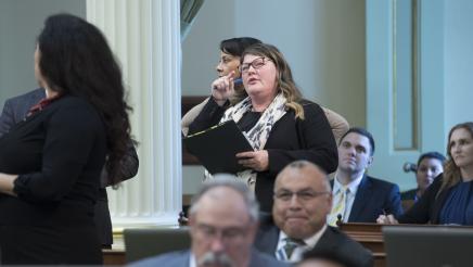 AB 1731 Presentation